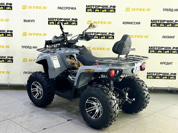 2025 Bison Hammer 250 PRO, серый - вид 3