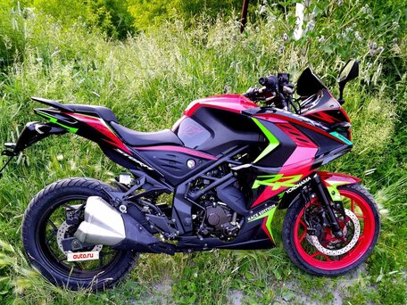 2024 Racer Enduro, красный, 270000 рублей, вид 3