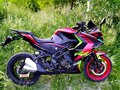 2024 Racer Enduro, красный, 270000 рублей - вид 2