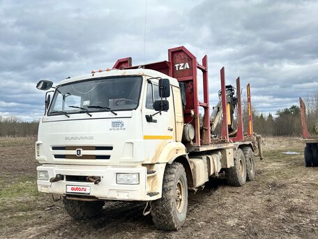 2018 КамАЗ 43118, белый, 6150000 рублей, вид 2