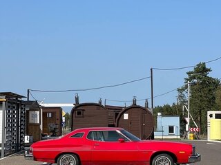 1975 Ford Torino III, красный, 3950000 рублей, вид 2