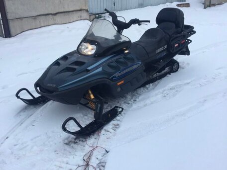 2001 Arctic Cat Pantera, синий, 710000 рублей, вид 4