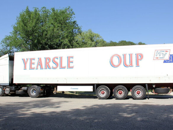 2005 DAF XF 95, белый, 3500000 рублей - вид 3