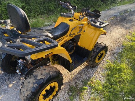 2021 Motoland Wild Track 200, жёлтый, 168500 рублей, вид 5