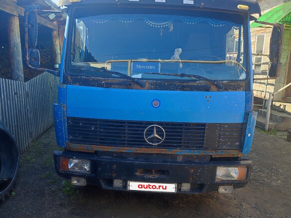 1994 Mercedes-Benz Vario, синий, 1050000 рублей - вид 3