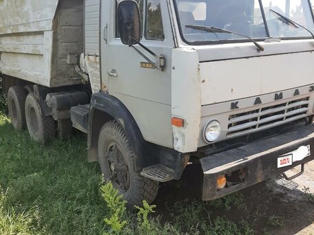 1991 КамАЗ 55102, серый, 650000 рублей, вид 5