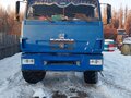 2010 КамАЗ 43118, синий, 3800000 рублей