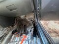 2012 Lada (ВАЗ) Priora I, зелёный, 350000 рублей - вид 7