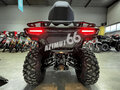 2025 CFMoto CFORCE 400L EPS, зелёный, 803165 рублей - вид 4