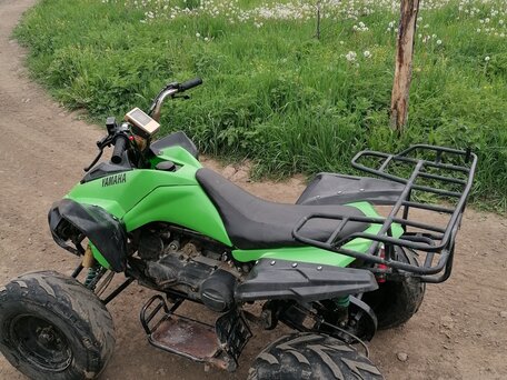 2009 Другие ATV (другие), зелёный, 70000 рублей, вид 5