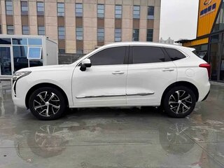 2021 Haval Jolion I, белый, 1190005 рублей, вид 5