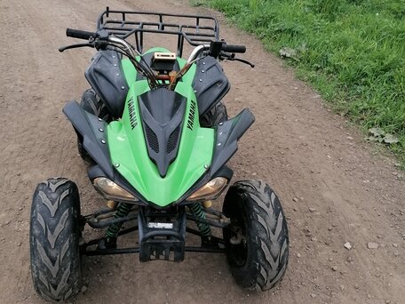 2009 Другие ATV (другие), зелёный, 70000 рублей, вид 1