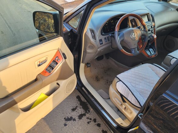 2001 Lexus RX 300 I, чёрный, 900000 рублей - вид 8