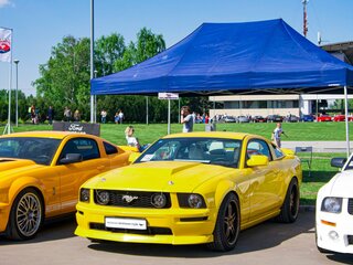 2005 Ford Mustang V, жёлтый, 7500000 рублей, вид 3