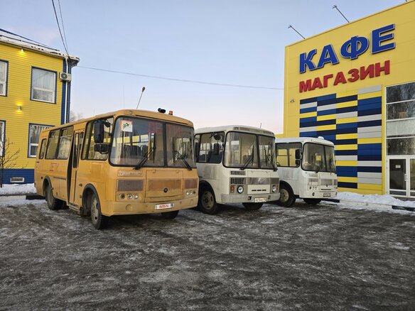 2014 ПАЗ 3205, белый, 950000 рублей