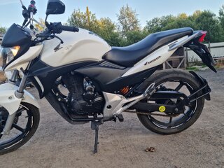 2014 Stels Flex 250, белый, 120000 рублей, вид 3