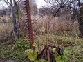 1987 ЛТЗ Т-40АМ, 700000 рублей - вид 4