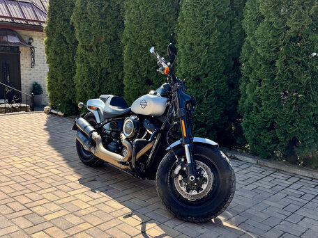 2019 Harley-Davidson Fat Bob, серый, 1770000 рублей, вид 2