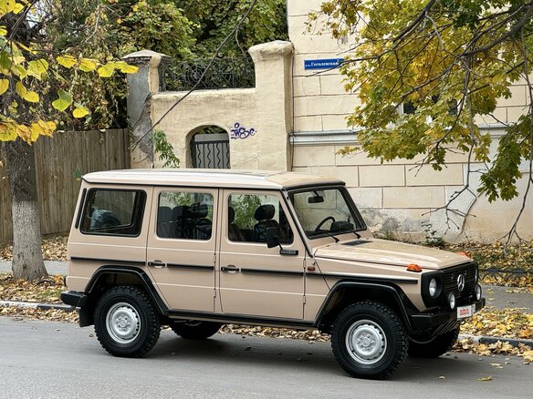 1989 Mercedes-Benz G-Класс 230 5-speed I (W460; W461), бежевый - вид 10