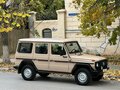 1989 Mercedes-Benz G-Класс 230 5-speed I (W460; W461), бежевый - вид 10