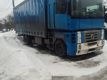 2002 Renault Magnum, синий, 1700000 рублей, вид 2