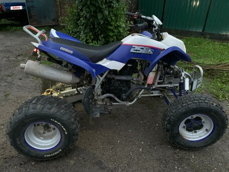 2014 Irbis ATV 250S, синий, 180000 рублей, вид 5