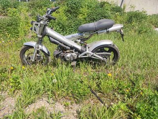 2008 Sachs MadAss, серый, 60000 рублей, вид 4