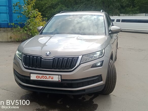 2019 Skoda Kodiaq I, серебристый, 2500000 рублей - вид 5