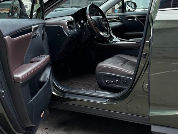 2021 Lexus RX 300 IV Рестайлинг, зелёный, 5600000 рублей - вид 19
