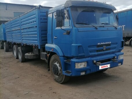 2011 КамАЗ 65117, синий, 2900000 рублей, вид 2