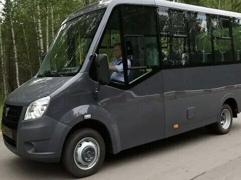 2015 ГАЗ Next Citiline, серый, 780000 рублей