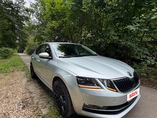 2019 Skoda Octavia III (A7) Рестайлинг, серый, 2350000 рублей, вид 5