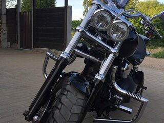 2009 Harley-Davidson Softail Custom, чёрный, 679239 рублей, вид 1