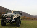 2007 ГАЗ 2330 «Тигр» 233001, зелёный - вид 5