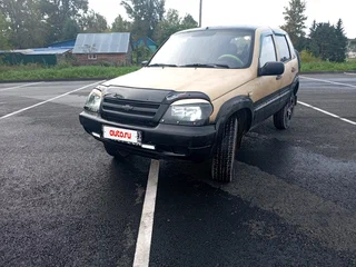 2004 Chevrolet Niva I, бежевый, 145000 рублей, вид 5