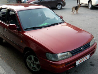 1993 Toyota Corolla VII (E100), красный, 365000 рублей, вид 4