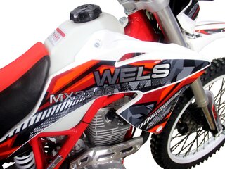 2026 Wels MX250R, красный, 130000 рублей, вид 5