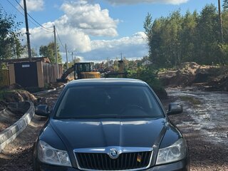 2010 Skoda Octavia DSG7 II (A5) Рестайлинг, серый, 670000 рублей, вид 1