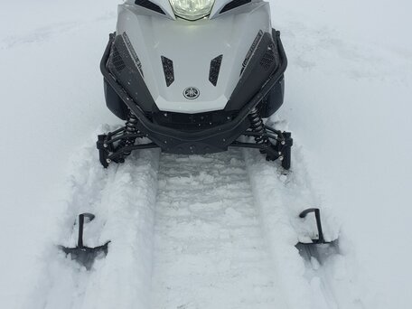 2019 Yamaha VK Professional, серебристый, 2100000 рублей, вид 5