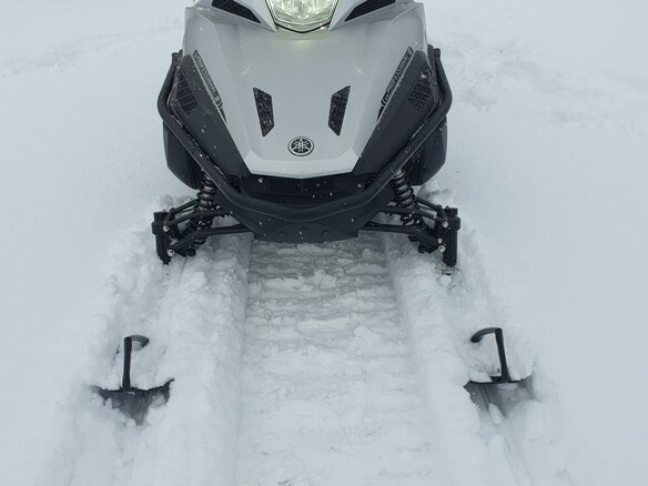 2019 Yamaha VK Professional, серебристый, 2100000 рублей - вид 4