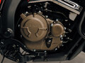 2025 Loncin DS250, красный, 258000 рублей - вид 9