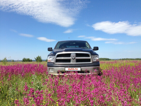 2009 Dodge RAM IV (DS/DJ), чёрный