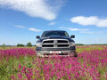 2009 Dodge RAM IV (DS/DJ), чёрный