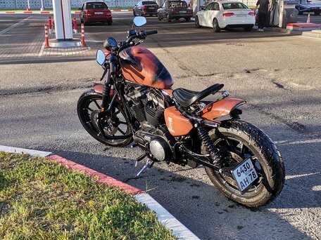 2017 Harley-Davidson Sportster 883, коричневый, 918000 рублей, вид 2