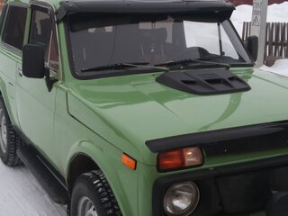1982 Lada (ВАЗ) 2121 (4x4) I, зелёный, 400000 рублей, вид 1