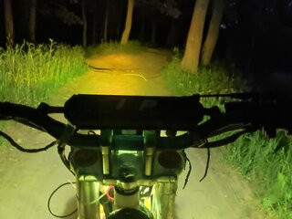 2019 Avantis FX 250, белый, 120000 рублей, вид 2