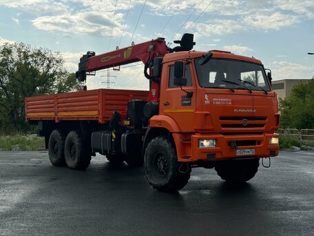 2021 КамАЗ 43118, красный, 8150000 рублей, вид 4