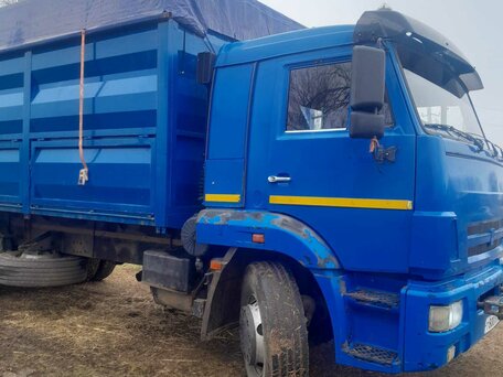2013 КамАЗ 65117, синий, 2000000 рублей, вид 4