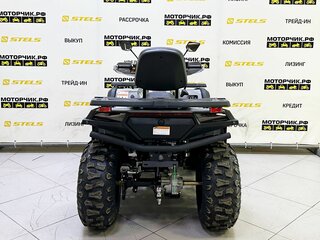 2025 Bashan Explorer 300, серый, 419000 рублей, вид 4