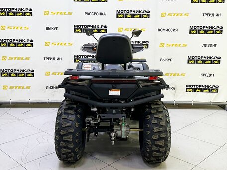 2025 Bashan Explorer 300, серый, 419000 рублей, вид 4